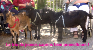 Un trio bien prometteur...